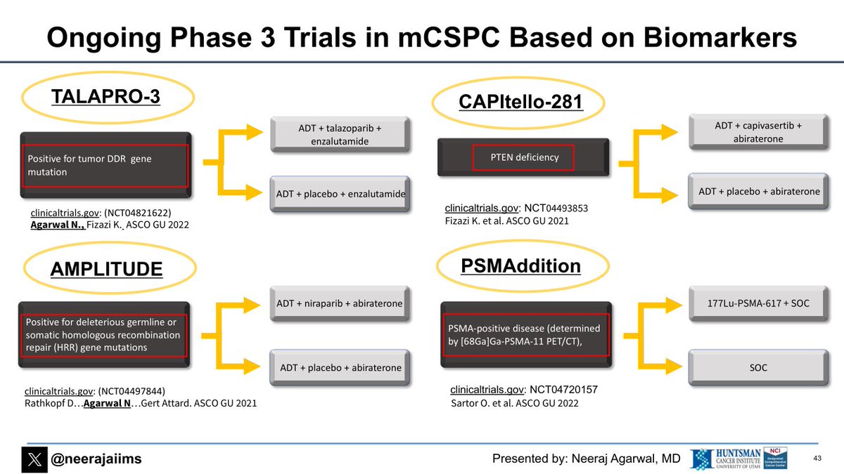 urologysummit's tweet photo. Listen to what @neerajaiims told at #IUCS23 about #biomarker-driven approach and the future of the treatment of #mHSPC #prostatecancer
👉https://t.co/Ub5an8hdjG https://t.co/J317eW1ffV