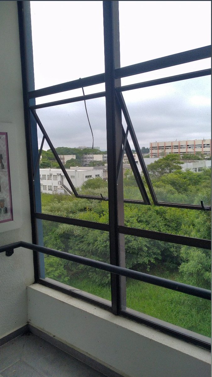 chimilowski's tweet photo. As fotos que você tira sem seu rosto são tua estética https://t.co/qjcLgFWVpv