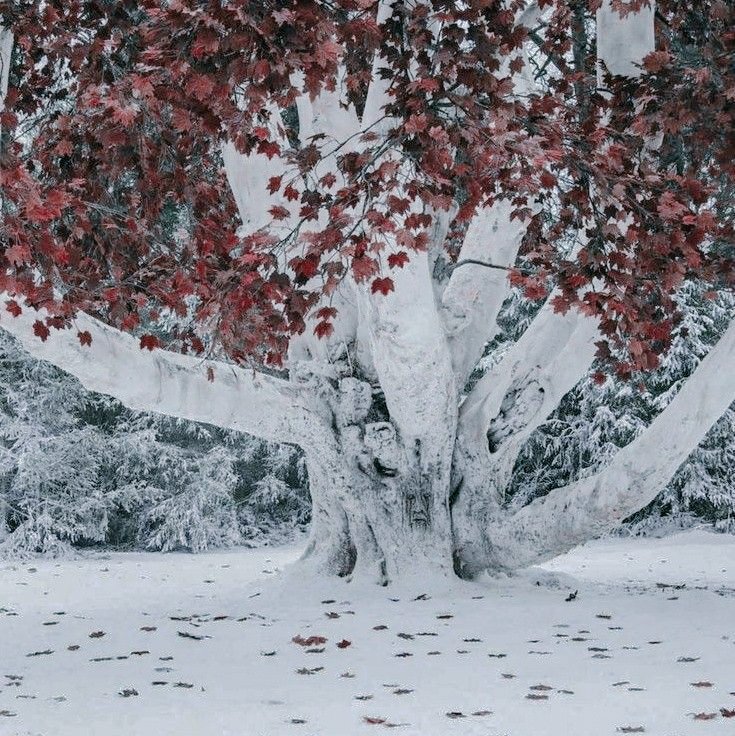 Winter spirit