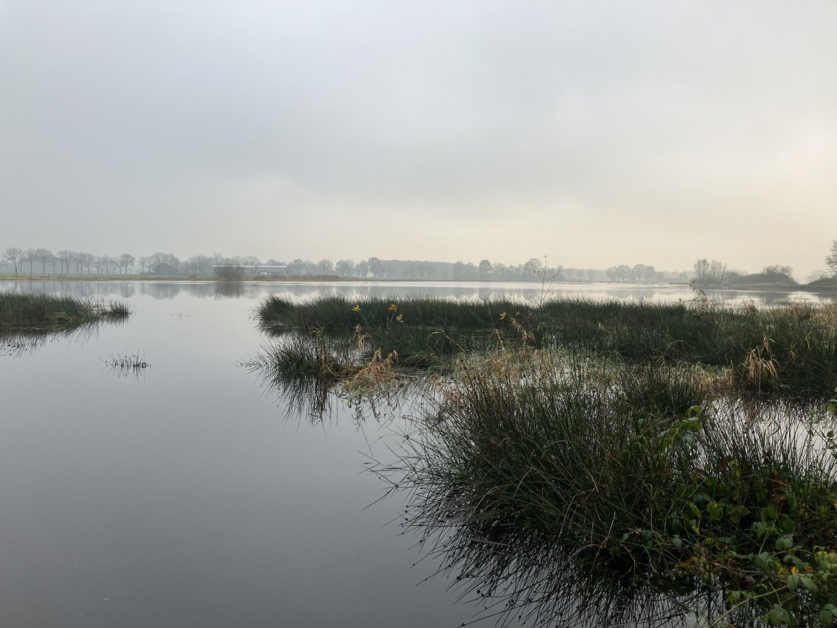 Molenbroek #waterberging bij Middelbeers, doet zo zijn naam weer eer aan. Waar de #kleineBeerze groot is geworden.