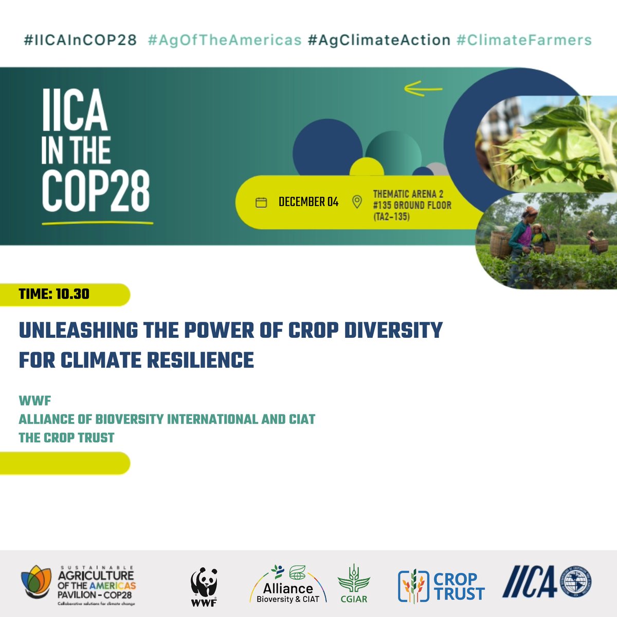 This #COP28 event by <a href="/WWF/">WWF</a>, <a href="/BiovIntCIAT_eng/">Alliance of Bioversity International and CIAT</a> and the Crop Trust explores the power of #cropdiversity for adaptation and mitigation of the impact of climate change on food security.

🗓️ Dec 04
⏰ 10:30 GMT+4

Follow the live stream from <a href="/IICAnews/">IICA</a> pavilion ➡️ buff.ly/46D6qub