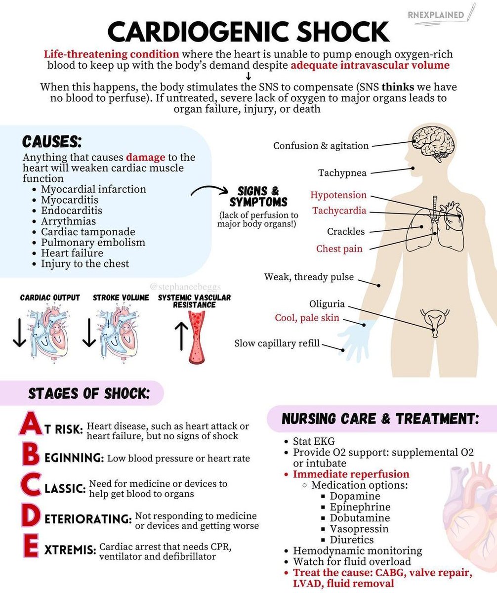 Nurse Hann tweet media