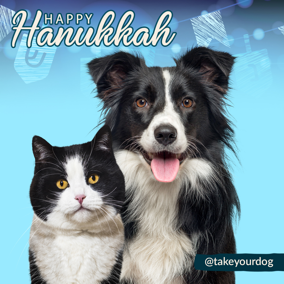 Happy Hanukkah, from #TakeYourDogToWorkDay creator Pet Sitters International. #hanukkah #chanukah #happyhanukkah