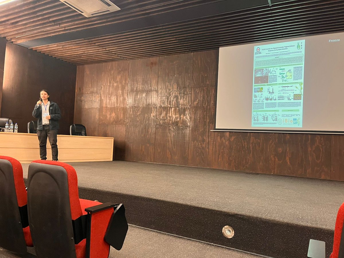 Núcleo Milenio MN-SAP (@nucleo_mnsap) on Twitter photo 🌱Destacamos la participación de Diego Zavala en las "Flash talks" y la presentación oral de Micaela Peppino en <a href="/Soc_Bio_Veg/">Sociedad Chilena de Biología Vegetal</a> 👏👏👏👏.
¡Gran representación MN-SAP en la XVI Reunión de Biología Vegetal Talcahuano! 🌱 🌱Destacamos la participación de Diego Zavala en las "Flash talks" y la presentación oral de Micaela Peppino en <a href="/Soc_Bio_Veg/">Sociedad Chilena de Biología Vegetal</a> 👏👏👏👏.
¡Gran representación MN-SAP en la XVI Reunión de Biología Vegetal Talcahuano! 🌱