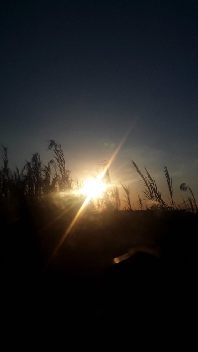 يوم متمنهوش لالد اعدائى🙂