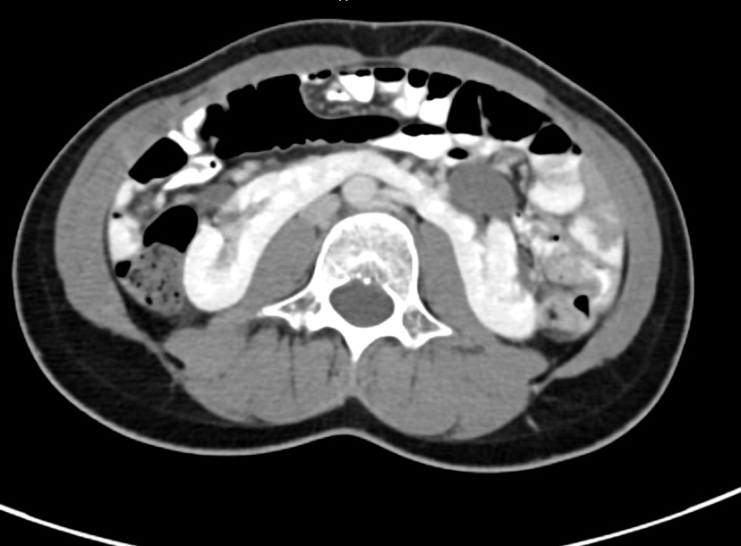 Dr Ihab Suliman tweet media