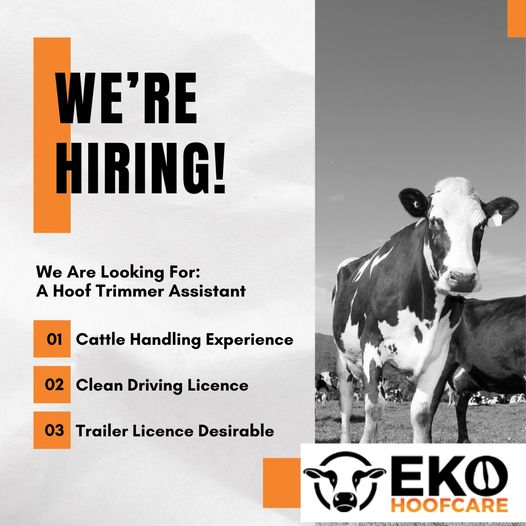 Job Alert: Hoof Trimmer Assistant on a Casual Part-Time Basis
If you are interested, please reach out to us via email at francis@ekohoofcare.com or call 00353863627146. 
Don't miss out on the possibility of further opportunities available within the business.

#jobalert #donegal