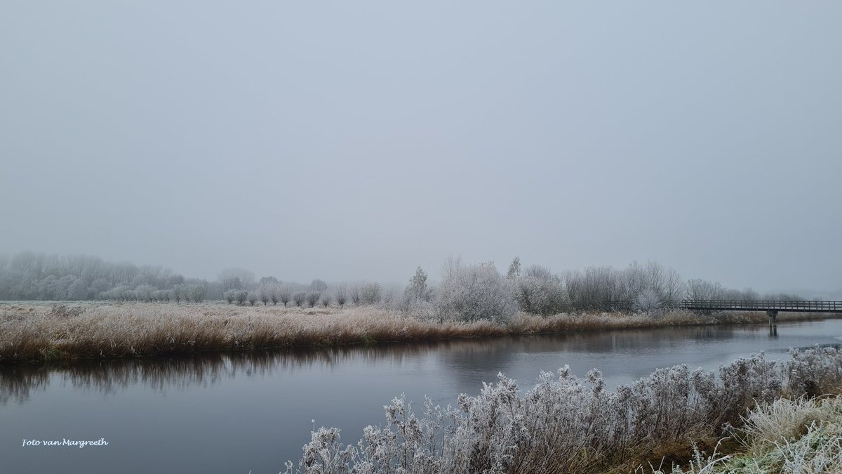 Margreeth0_0's tweet photo. Vanmorgen was ik op bezoek bij mijn ernstig zieke vriendin. Mooie fietstocht van een uur door de Eelder Onlanden. Wel fris en de zon zette niet door. #Dutchwinter @BuienRadarNL @StormHour #ThePhotoHour #NaturePhotograhpy #NatureBeauty #frosty #rijp #misty #natuur https://t.co/4pLnnMjNKb