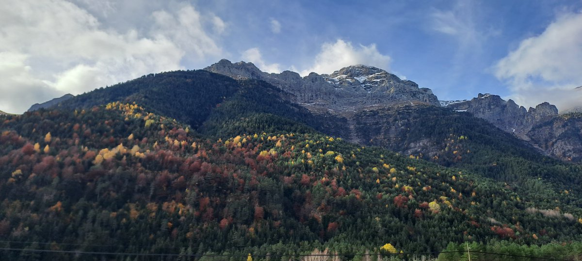 FORESPIR tweet media