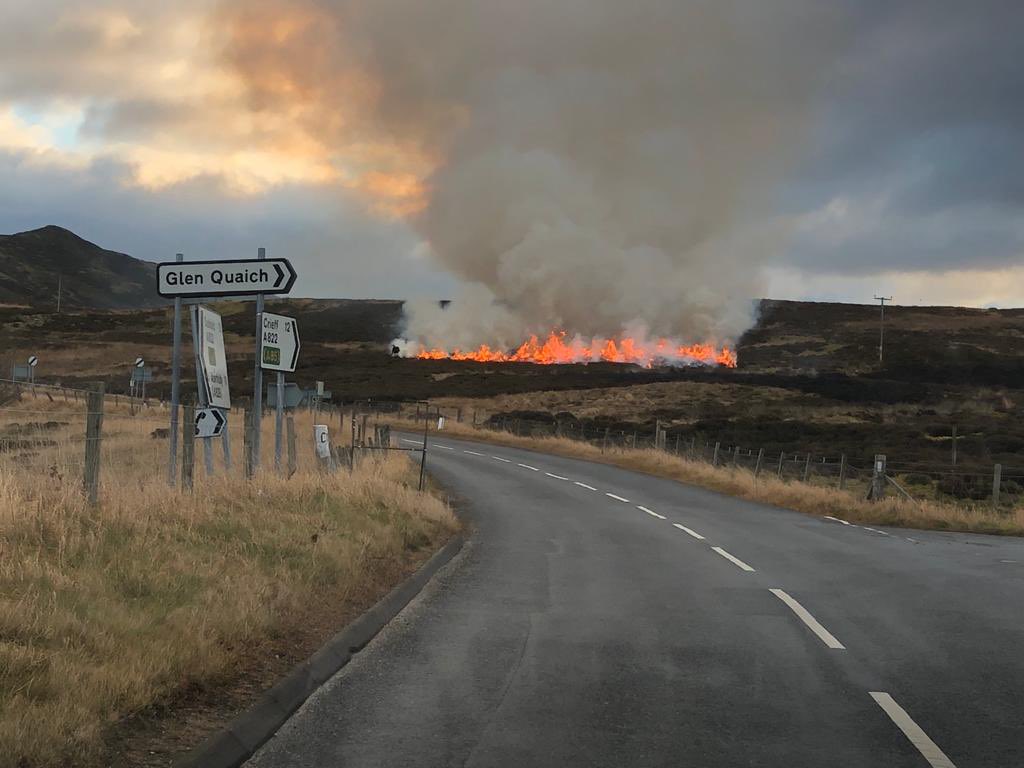This is yesterday. What an industry! Burning our hills and illegally killing our eagles. Killing 100s of thousands of native birds and mammals per annum. TO SHOOT GROUSE FOR FUN! What climate change and biodiversity collapse?@GillianMSP