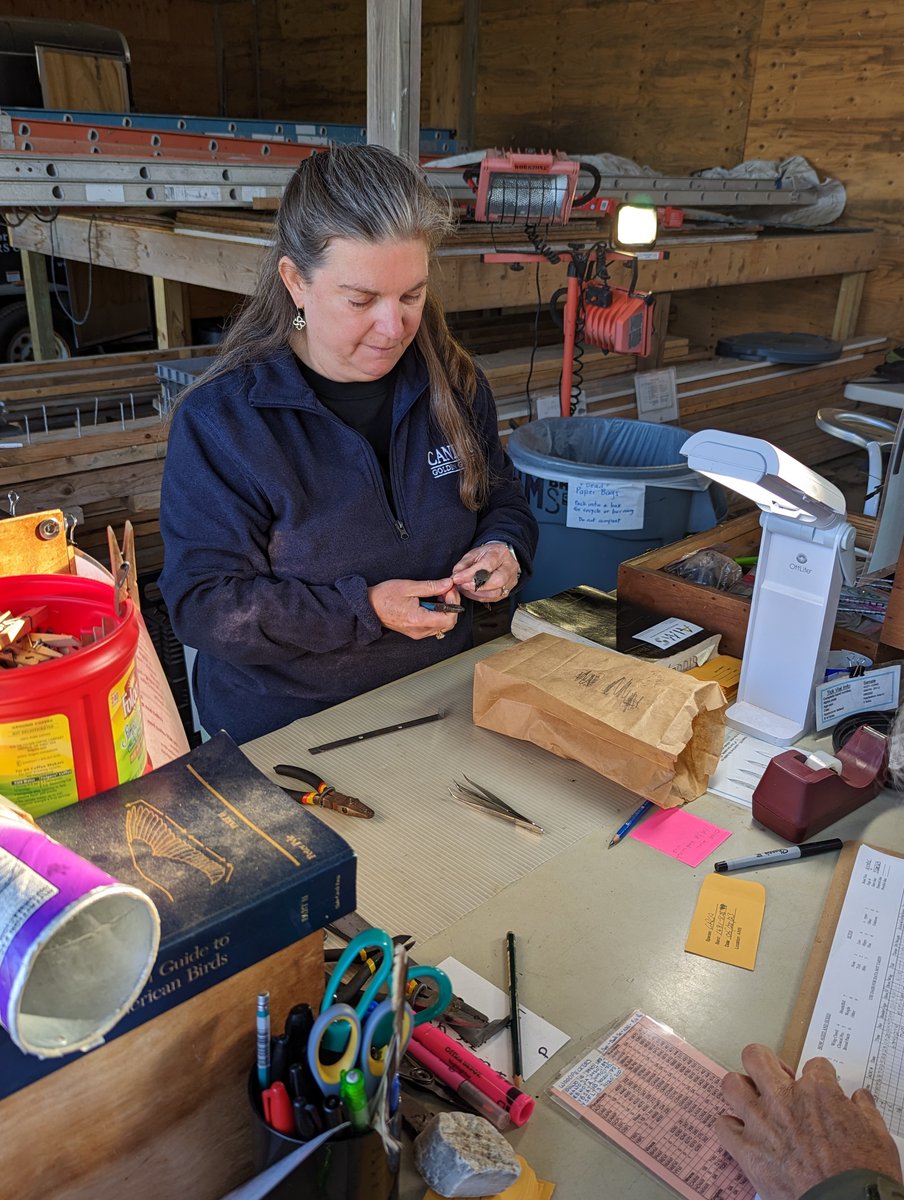 UNH EOS (@unheos) on Twitter photo We are thrilled to share that Dr. Sara Morris has been selected as the next Executive Director for <a href="/ShoalsMarineLab/">Shoals Marine Lab</a>! Sara has deep ties to the island, incl. as longtime director for its biannual bird banding station. Congrats, Sara!
unh.edu/unhtoday/2023/… We are thrilled to share that Dr. Sara Morris has been selected as the next Executive Director for <a href="/ShoalsMarineLab/">Shoals Marine Lab</a>! Sara has deep ties to the island, incl. as longtime director for its biannual bird banding station. Congrats, Sara!
unh.edu/unhtoday/2023/…