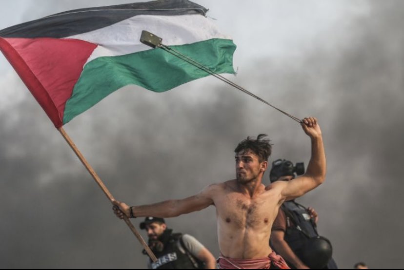 lanadeholanda's tweet photo. Esses dias eu li algo que era mais ou menos assim: 

“Um liberal é uma pessoa que é contra colonialismos, exceto os colonialismos em curso. Também é uma pessoa que apoia as lutas por libertação, exceto as que acontecem agora.” https://t.co/XrB9lTC7MM