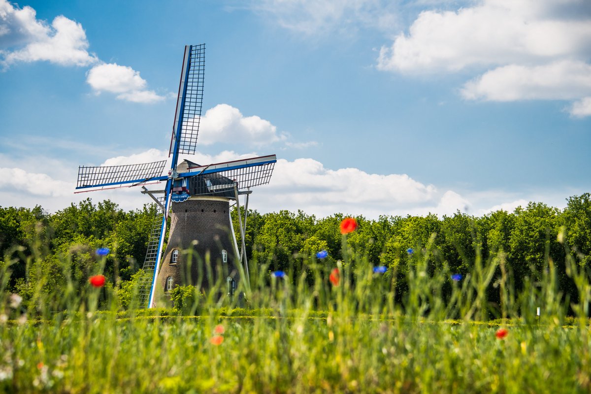 MRE_netwerk's tweet photo. We zoeken een procesmanager op het onderwerp #Energietransitie. Is dit jouw vak en zoek je een nieuwe uitdaging? #Solliciteren kan tot 3 december. #regio #zuidoostbrabant #res 
https://t.co/dsOe7Nb6wj https://t.co/cIN6B92Sws