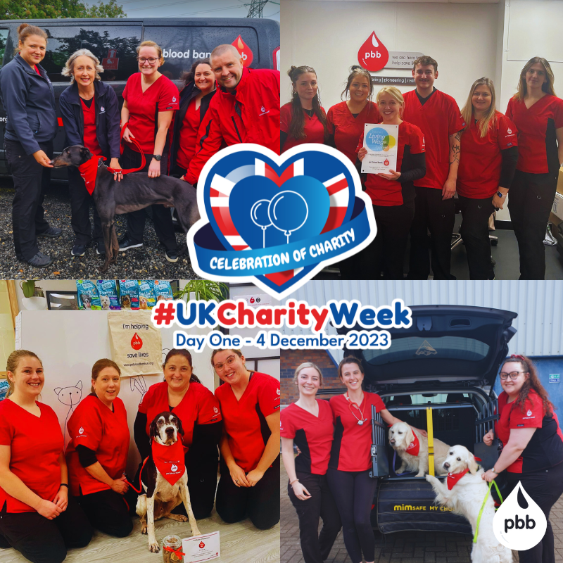 Today marks the start of #UKCharityWeek 🎉

And we are kicking it off by celebrating our fabulous team 🫶 Caring, pioneering, and real is what we strive to be, and our team lives up to these values every day!

We are so very proud of our PBB team 🥰

#CelebrationOfCharity
