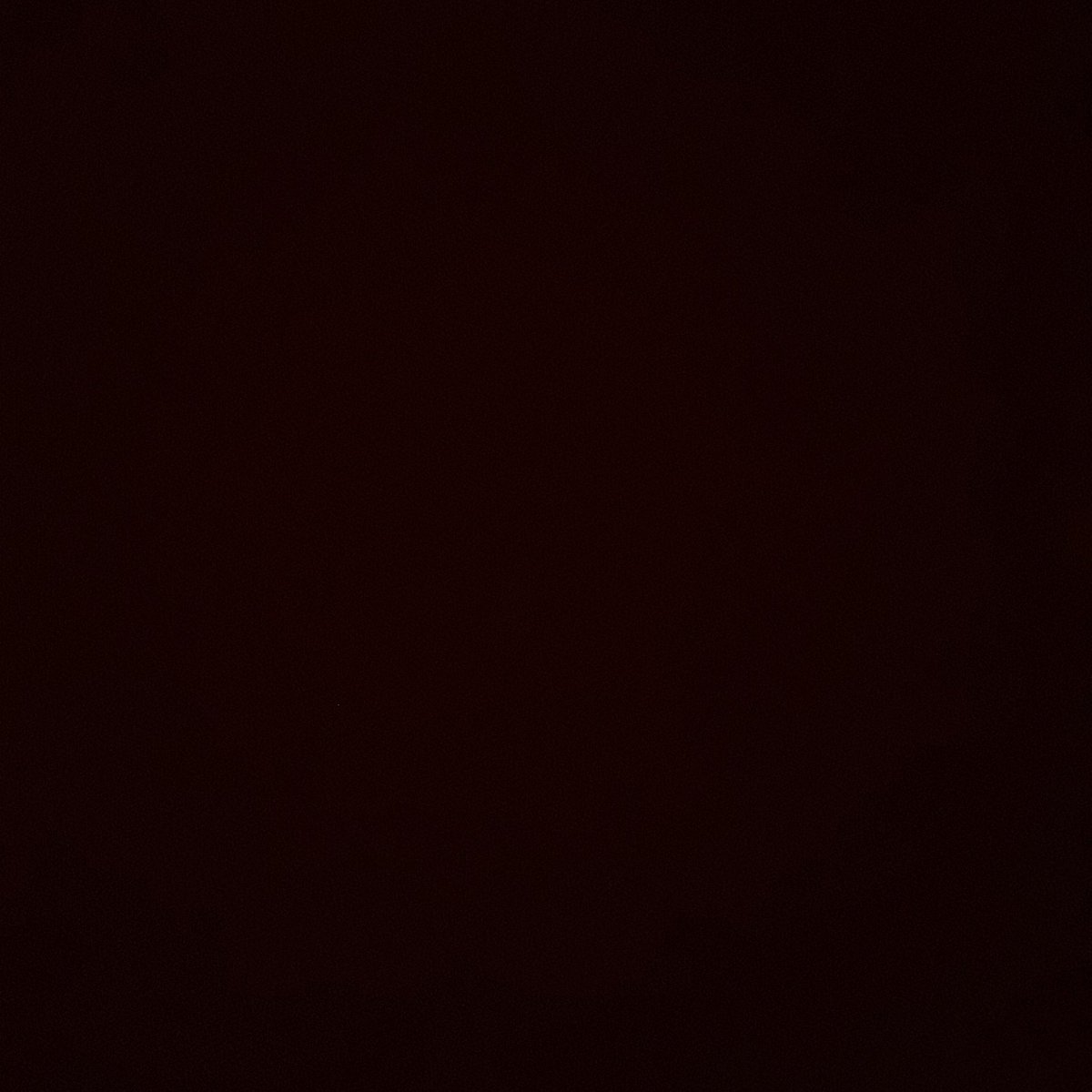 jacquessotelo's tweet photo. #NewProfilePic https://t.co/YYNPpGNv2M