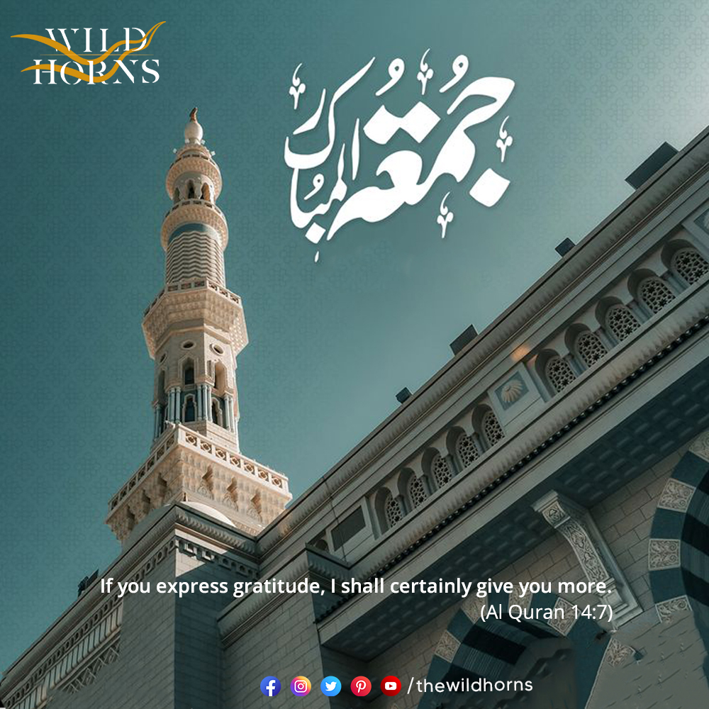 TheWildHorns's tweet photo. if you express gratitude i shall certainly give you more

[Al Quran 14:7]

Jummah Mubarak!

#thewildhorns #JummahMubarak https://t.co/65LvUrlpkE