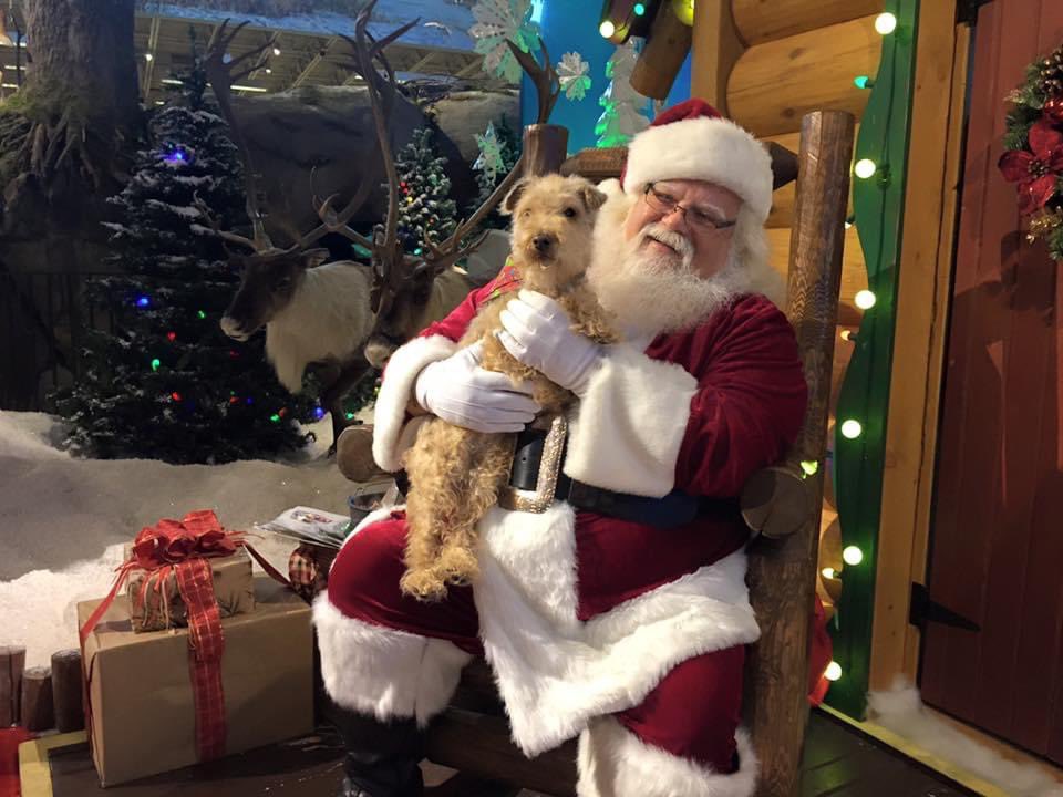 Lucy loved visiting Santa at Basspro. Here she is in 2015.  <a href="/BassProShops/">Bass Pro Shops</a> #basspro #dogsoftwitter