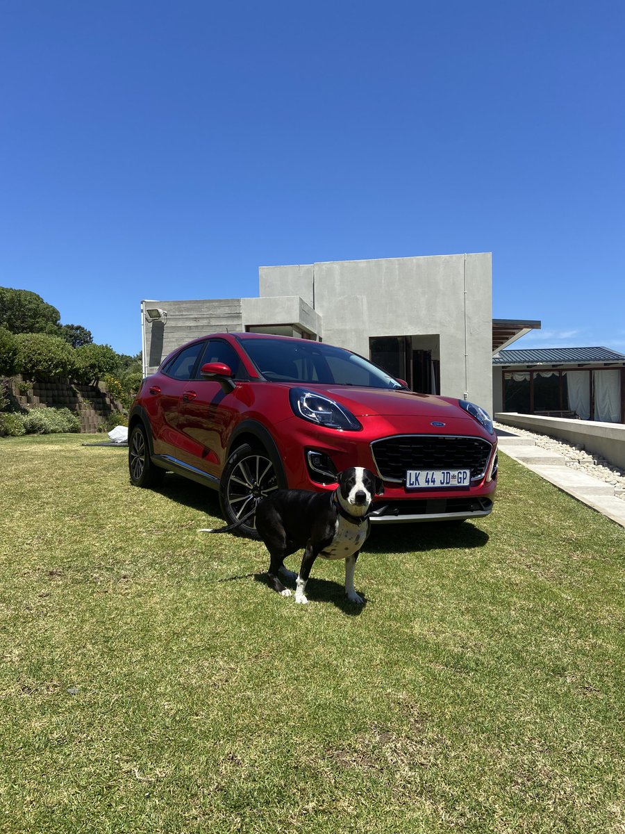 JosiahThobejane's tweet photo. Look, a @FordSouthAfrica Puma Titanium, a Dog, and the occasional Sunday drive around chap mans peak  to get some ice cream, no?

#GetCurious #PumaTitanium #PumaSTLineVignale https://t.co/T6JA46Ry3O