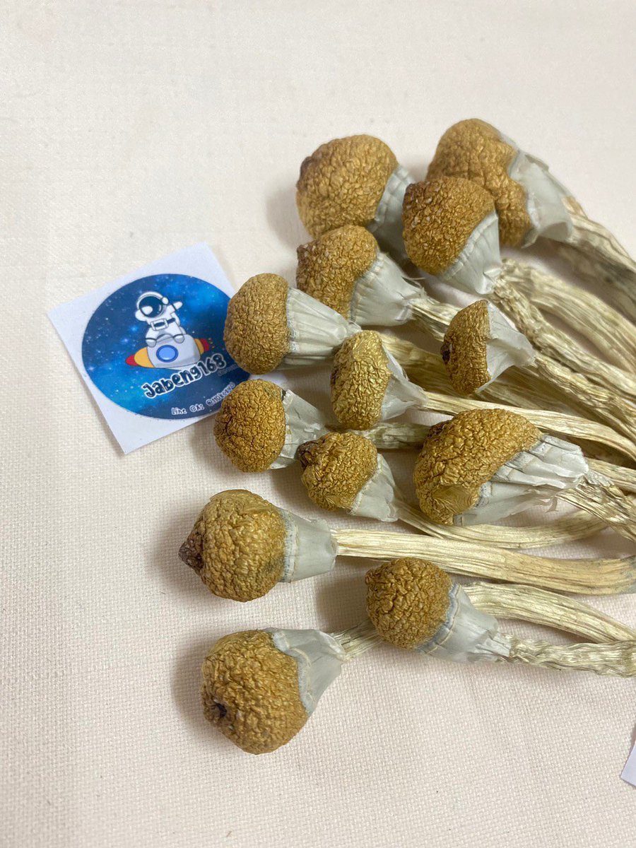 JaBeng168v2's tweet photo. 🍄🍄🍄
Line : https://t.co/oQRxOOzBFe
#เห็ดเมา #เห็ดอวกาศ
#indica #กัญชาไฟฟ้า #sativa #thccart #cartridge #น้ํามันกัญชา #กัญ���ากรุงเทพ #ขายกัญชา #เสรีกัญชา #พอตไฟฟ้า #podกัญชา #กัญชาog #พอตราคาถูก #บุหรี่ไฟฟ้า #กรีนแครก #ลีน #พอตกัญชา #BILLKINGraduationDay #510battery #EngfaWaraha https://t.co/ZJ0HIn3PU6