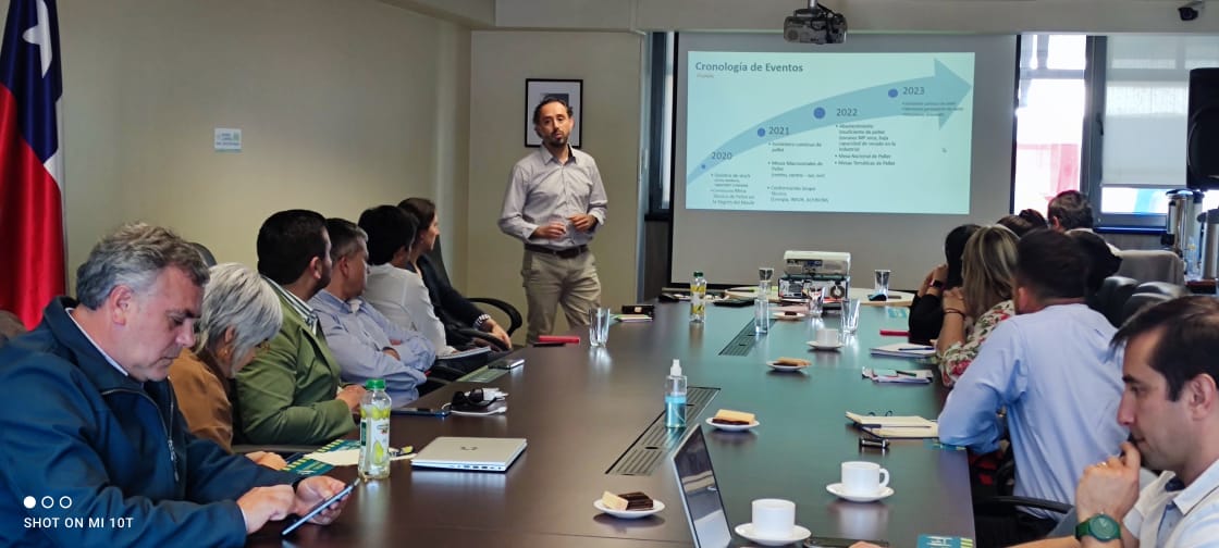 Energía La Araucanía tweet media