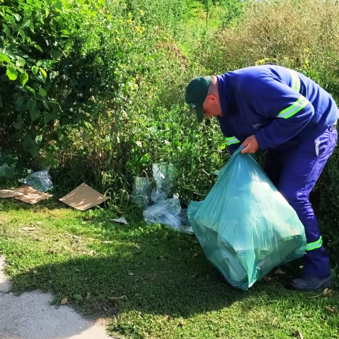 TigreSPublicos's tweet photo. MÁS RECOLECCIÓN EN NUEVO DELTA
La Delegación #NuevoDelta, continúa con refuerzos en la recolección para prevenir obstrucciones en desagües y, al mismo tiempo, tener un tigre más limpio.
@delegnuevodelta
#TigreEsMiVida #tomemosconciencia
@MunicipioTigre @ZamoraJulio https://t.co/NHOPXgXN3N