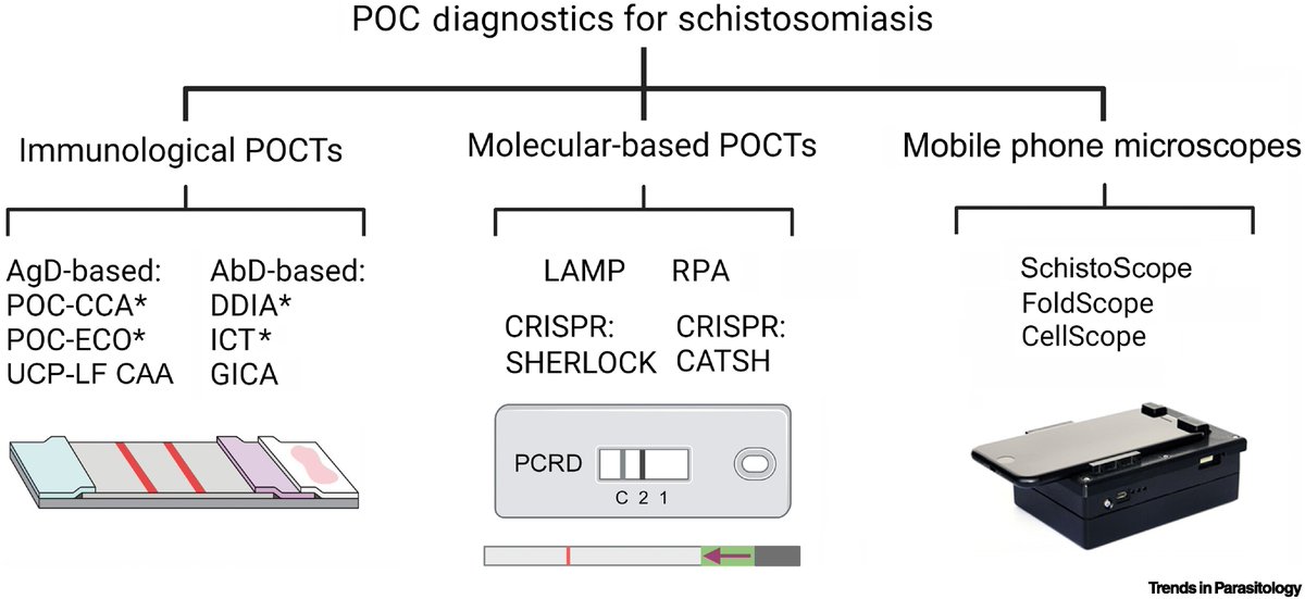 TrendsParasitol's tweet photo. Drs Jonas Rivera, Yi Mu @DrCatherineWorm Malcolm Jones, Guofeng Cheng & Pengfei Cai review current & upcoming point-of-care #POC #diagnostics for #schistosomiasis. @QIMRBerghofer @UQ_News #LFIA #DNAdipstick
https://t.co/6BaadqVzg8 https://t.co/kHcylnUYHc