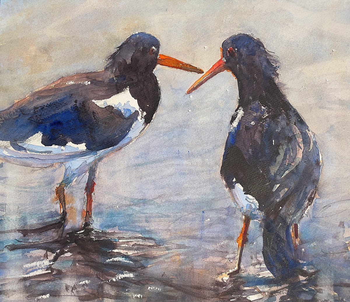 Today’s watercolour: Oystercatchers in conversation. Painted on St Cuthbert’s Millford paper using Schmincke watercolours. #watercolour #oystercatcher #marineart