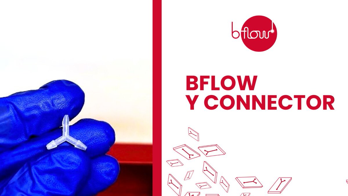 BFlow tweet media