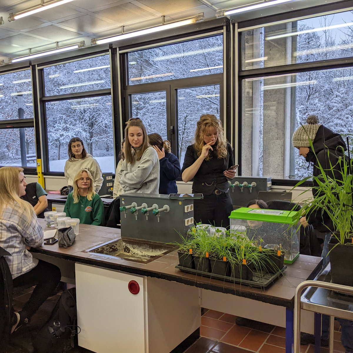 Hamed Azarbad tweet media