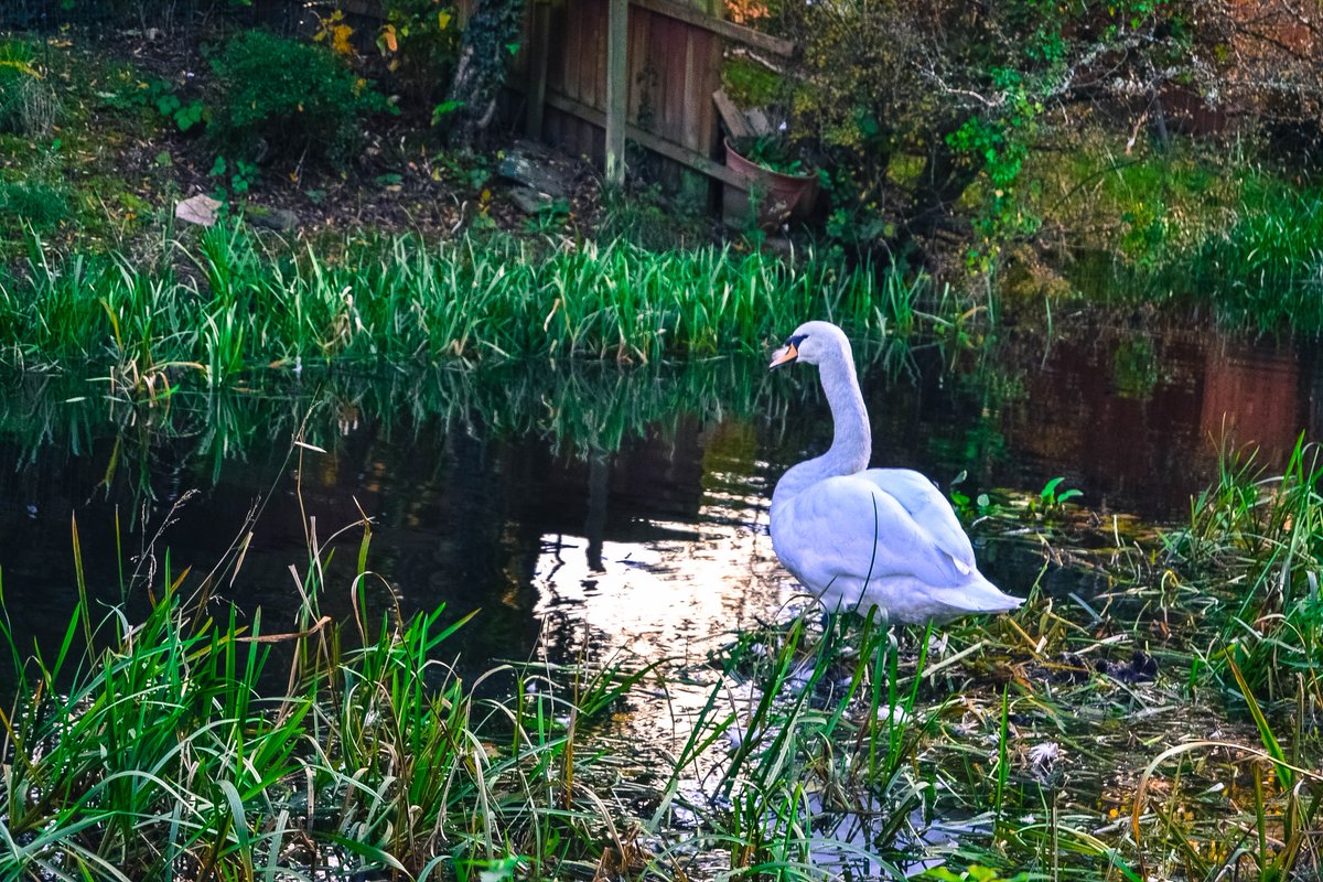 📸📷🏞🚵🏿‍♂️

#wales #cymru #uk #visitwales  #northwales #nature #photography #welsh #walesadventure #southwales #travel #discovercymru #adventure #wildlifephotography #hiking  #discoverwales #explore