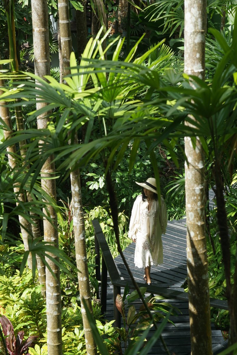 FSThailand's tweet image. Step into a world where tranquility meets luxury at our Secret Garden Spa. 🌿 Immerse yourself in the lush greenery, soothing melodies, and the gentle caress of nature. #FSSpa #FSkohSamui