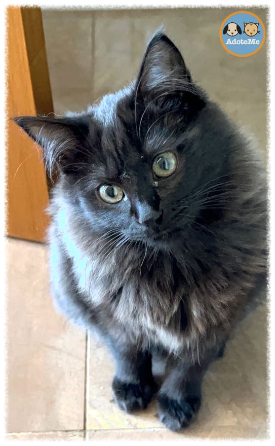 Hoje, eu sou menos brava e mais legal 😁