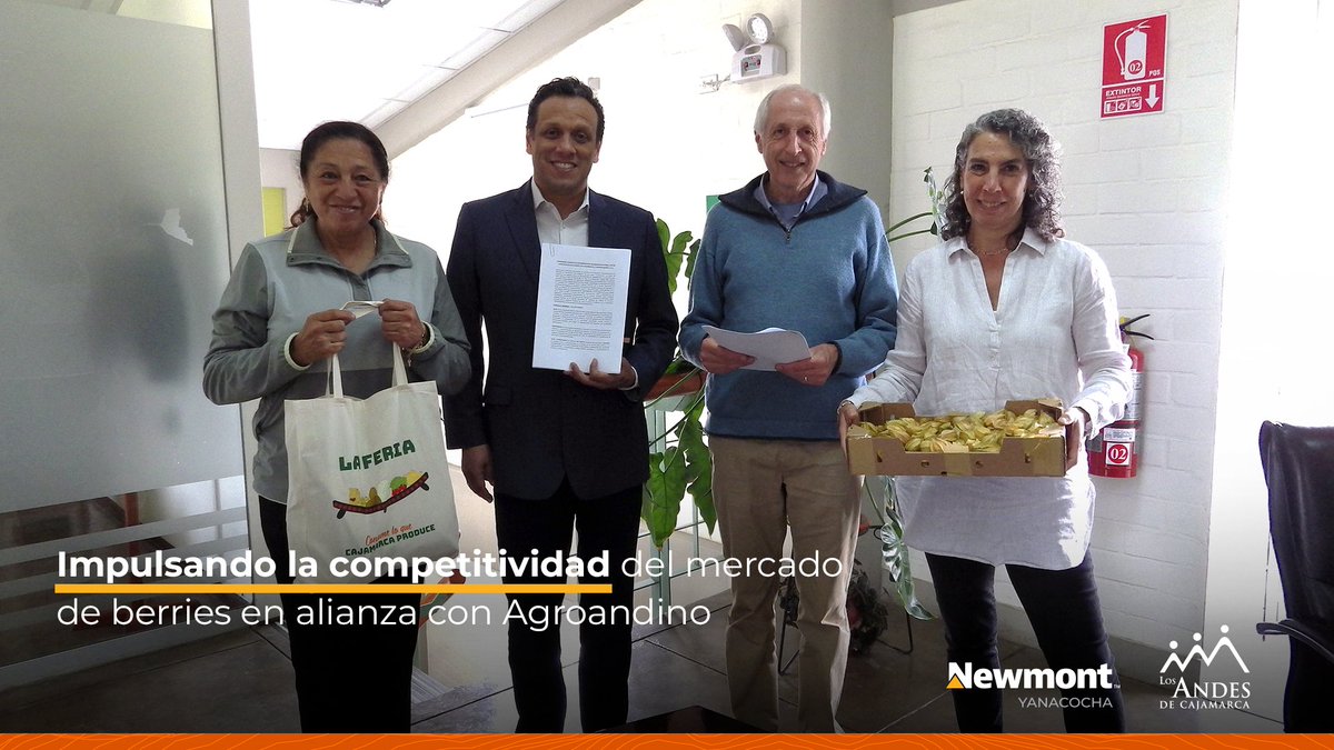 LosAndesCaj's tweet photo. Convenio con Agroandino para potenciar berries en Cajamarca: 200 agricultores mejoran producción y ventas con capacitación y asistencia técnica. Iniciativa fomenta comercio justo y diversidad productiva en zonas rurales. #ImpulsandoLaCadenadeBerries #ReactivaciónEconómica https://t.co/HUlUWKVyPo