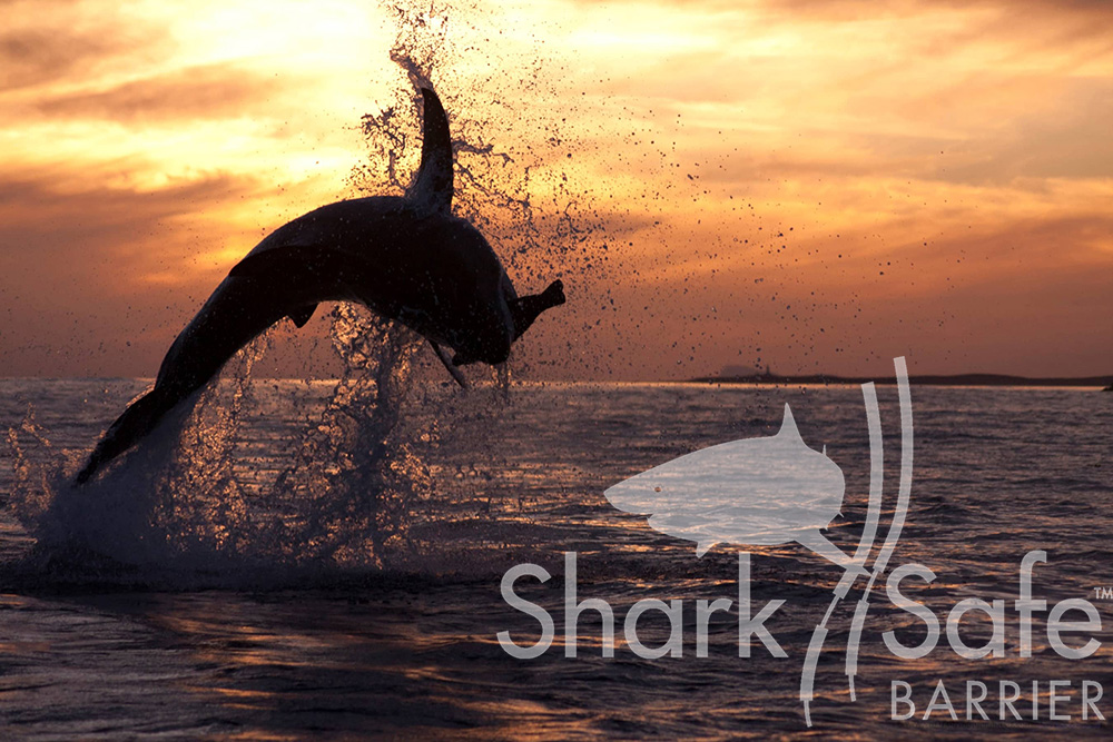 SharkSafe Barrier (@SharksafeB) / X