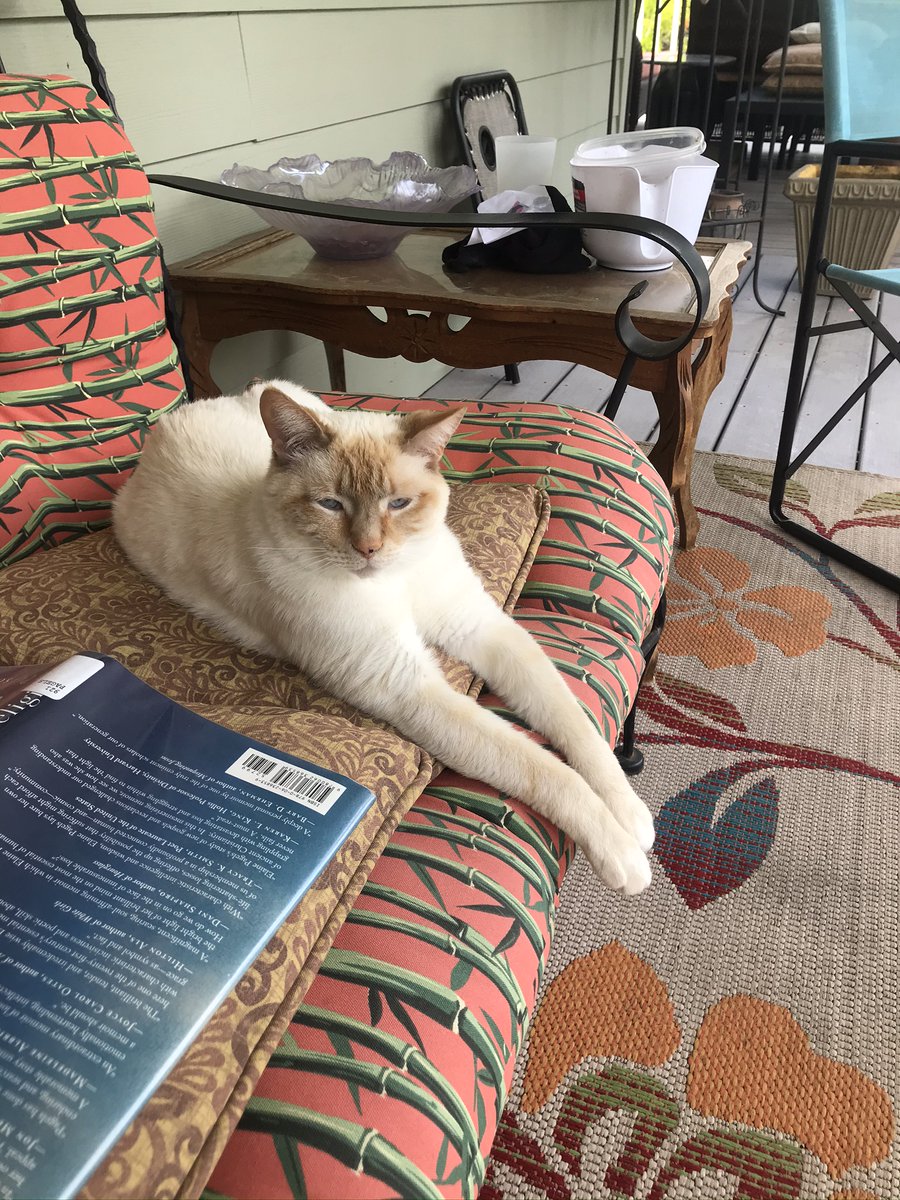 CraigKeffeler's tweet photo. #CraigKeffeler #Asesina. My editor is taking a break. Florida book events have been great fun. Check with Black Rose Writing (my publisher) for upcoming events. https://t.co/J9wHGngdY4