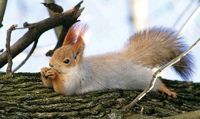 MS. YOLY IS HERE! tweet media