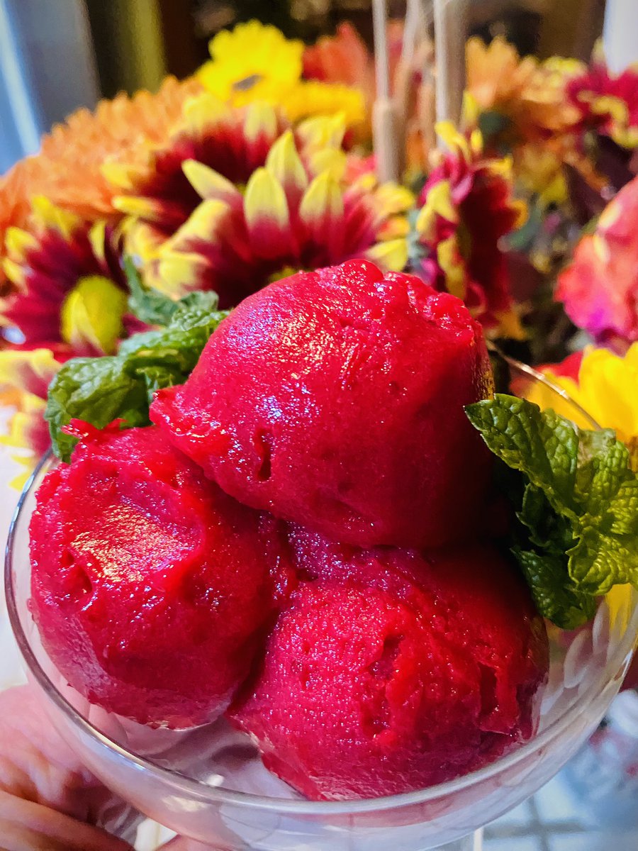 BarrieBeau's tweet photo. A different take on cranberries, Cranberry Mint Sorbet. https://t.co/RMeBj2kiBz