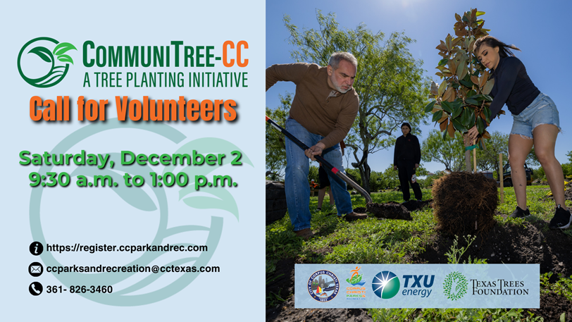 CC Storm Water tweet media