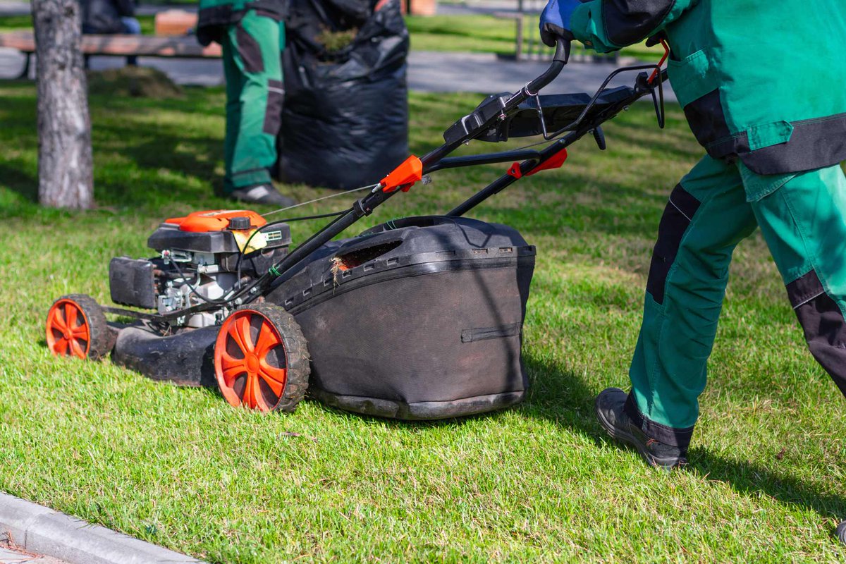 BoschLandscape's tweet photo. Lawn Beauty Perfected: Bosch’s Landscaping maintains your green masterpiece. Mowing, aeration, and more for a lush, thriving yard. #BeautifulLawn #LawnMaintenance
https://t.co/8ucvJC87Nw https://t.co/gTvUNXgEug