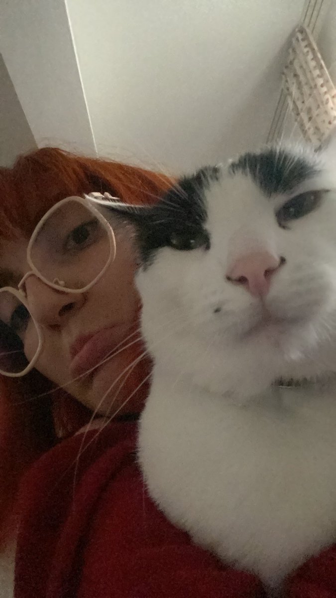 Kedileri seviyore 
 #BrandedFeatures