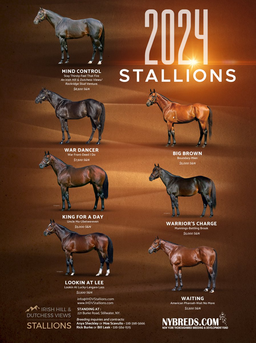 Come see the stallions in person! Saturday, 12/9/2023 from 12-3 at Irish Hill Century Farm Then we'll see you at the @nytbreeders , Inc. Holiday Party later in the evening.