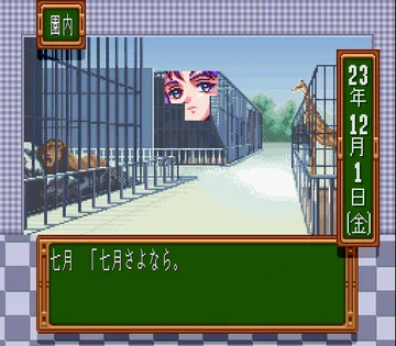 画像 / Picture