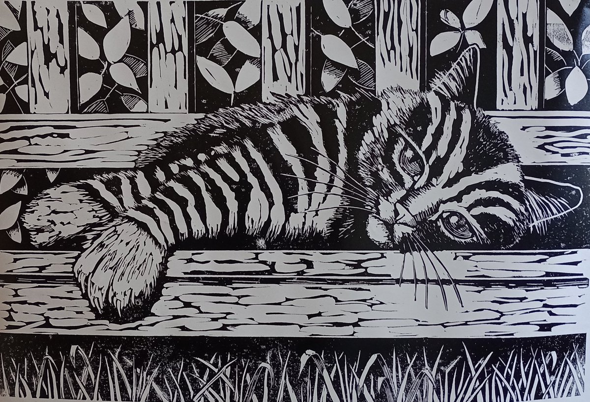 Jessica Rose tweet media