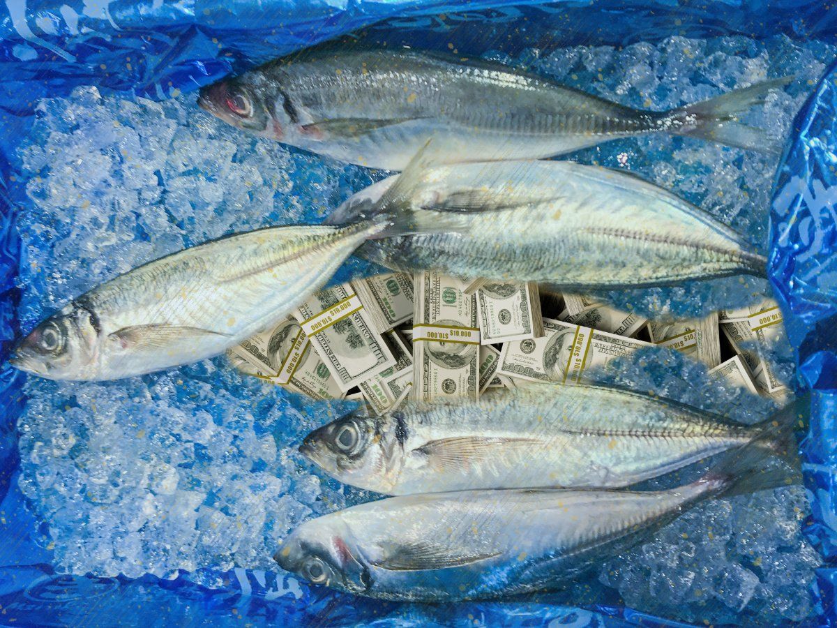 In an op-ed, Aaron Van Neste examines how #Walmart and the Walton Family Foundation have relied on a debatable definition of “sustainable” seafood that allows it to achieve its sourcing goals without fundamentally changing its business model. civileats.com/2023/11/21/op-…