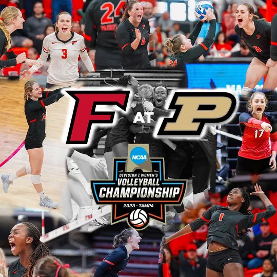 Fairfield Stags tweet media