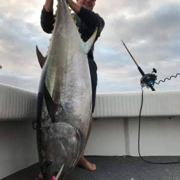 yswgcaptaindave's tweet photo. How much do you think this fish Weigh?
#fishingaddict #socalfishing #fishingpicoftheday #fishingfun #fishing #sportfishing #angler #angling #fishingpic #fishingphoto #fishingphotodaily #fishingtime #fishingdaily #mobileapp #fishingapp #fishingapps https://t.co/P2eGV2dCrM