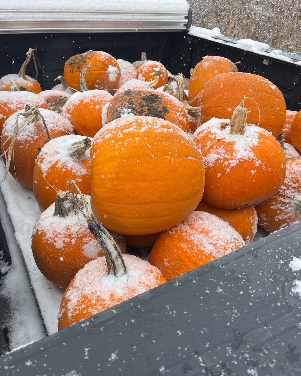 A huge thank you to the Wiefaert family for allowing Garry and Cari to pick pumpkins last weekend! Clift Buick GMC is proud to support Ahimsa Safe Haven. Join us in making a difference. Visit ahimsasafehaven.org to learn more about the rescue and how you can help.