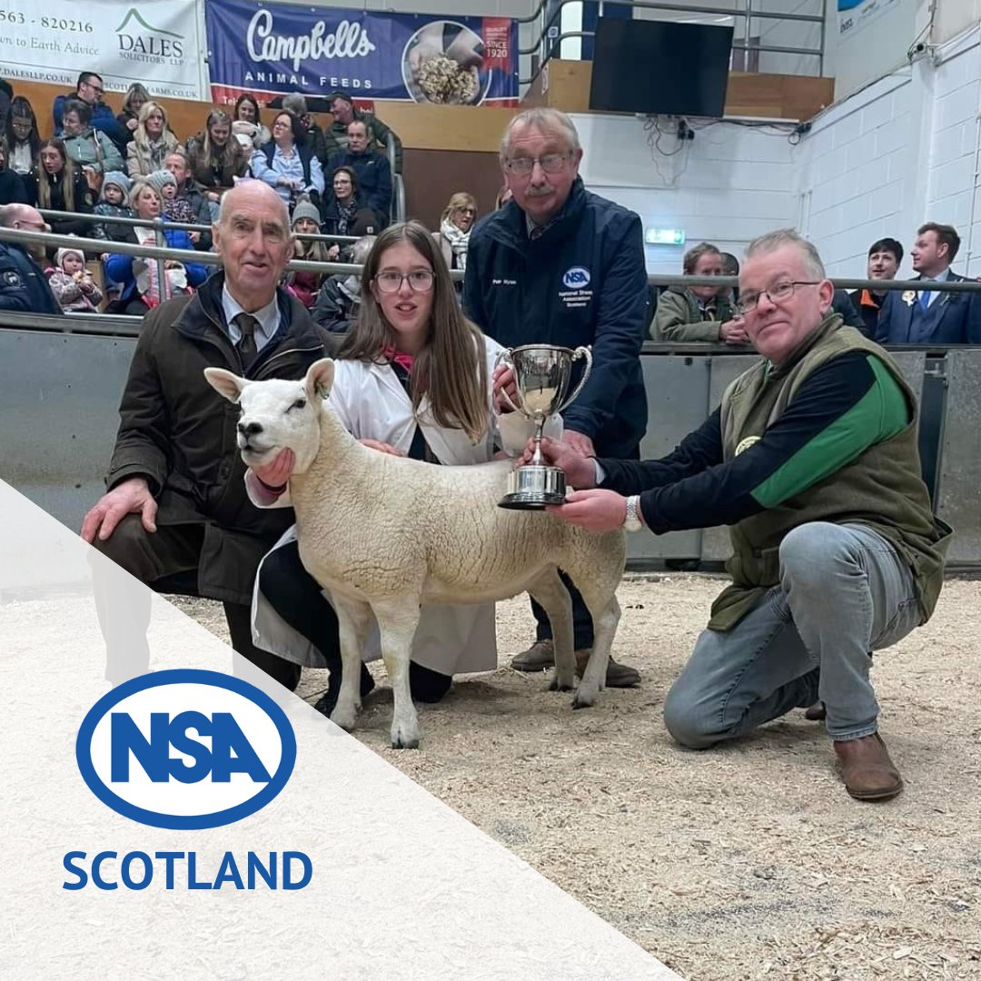 NSA Scotland supports LiveScot event🐑🏴󠁧󠁢󠁳󠁣󠁴󠁿 The region showed its support by sponsoring the National Fat Stock Club 2023 young handlers classes. Jenna Johnstone from South Lanarkshire, took the title of Champion Young Handler. Read more⤵️ go.nationalsheep.org.uk/WTEGky
