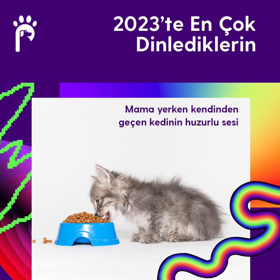 2023'te tam 17.727 dakika boyunca mama yerken kendinden geçen kedinin huzurlu sesi dinlemişsin. 😍💙

#patiwe #kidolog #SpotifyWrapped