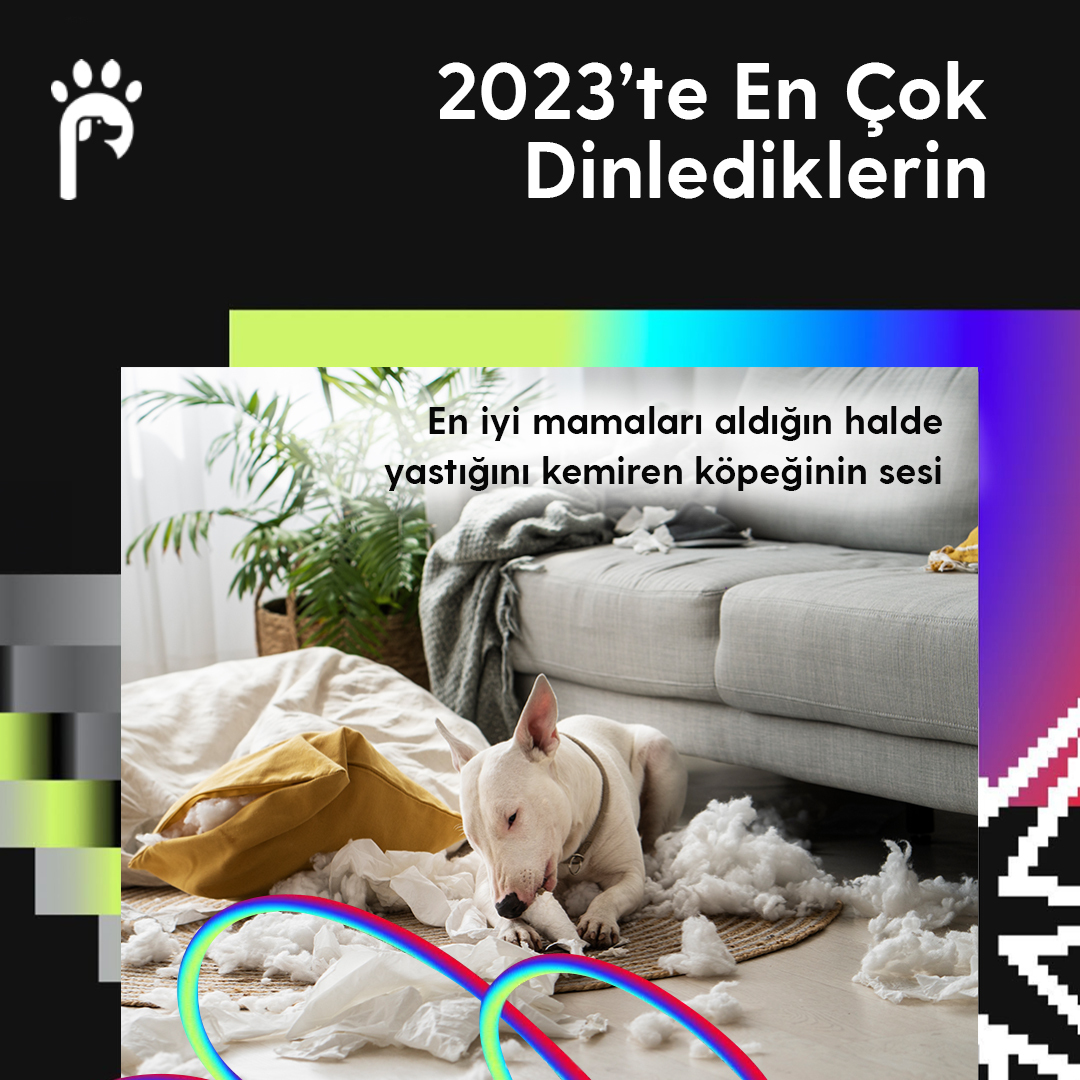 Ona en iyi mamaları alsan da yine de yastığını kemiren köpeğinin sesi bu senenin favorilerinden olmuş. 🥲💙

#patiwe #kidolog #SpotifyWrapped